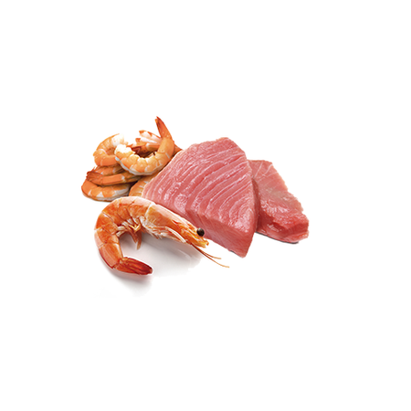 Farmina N&D Cat Ocean Tuna & Shrimp 70g Mokra Karma Dla Kota Tuńczyk Krewetki