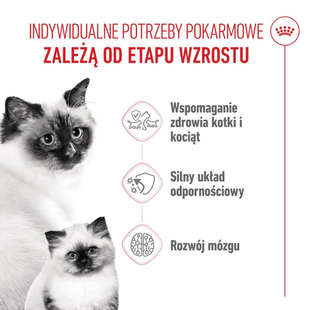 Royal Canin Mother&Babycat 4kg Karma Sucha Dla Kotek W Okresie Ciąży Laktacji i Kociąt Od 1 Do 4 Miesiąca Życia