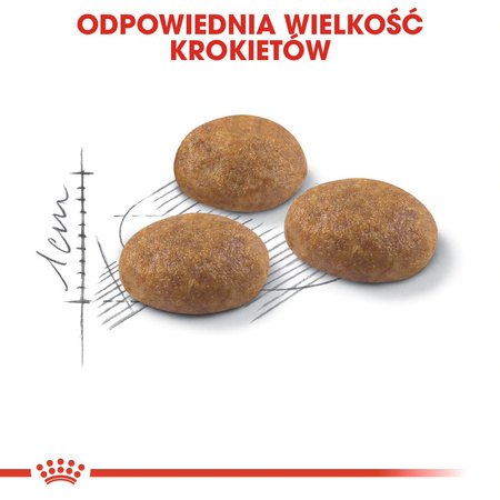 Royal Canin Outdoor 2kg Sucha Karma Dla Kotów Dorosłych Wychodzących Na Zewnątrz