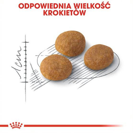 Royal Canin Exigent Aromatic Attraction 2kg Karma Sucha Dla Kotów Dorosłych Wybrednych Kierujących Się Zapachem