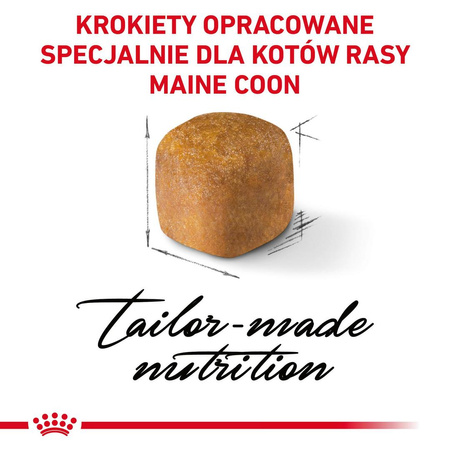 Royal Canin FBN Maine Coon Kitten 4kg Karma Sucha Dla Kociąt Do 15 Miesiąca Rasy Maine Coon