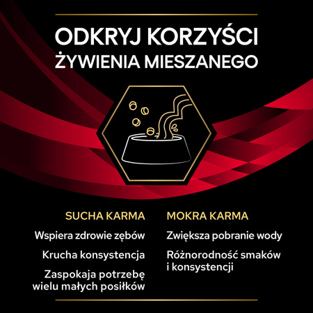 Purina Pro Plan Veterinary Diets Feline DM Diabetes Management Sucha Karma Dla Kota 1,5kg Redukcja Glukozy