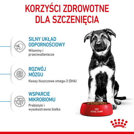 Royal Canin Maxi Puppy 2x15kg Karma Sucha Dla Szczeniąt, Od 2 Do 15 Miesiąca Życia, Ras Dużych