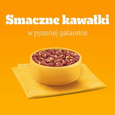 Pedigree Adult Mokra Karma Dla Psa 160x100g Wybór Smaków W Galaretce