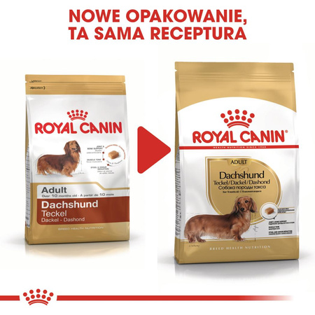 Royal Canin BHN Dachshund Adult 7,5kg Karma Sucha Dla Psów Dorosłych Rasy Jamnik