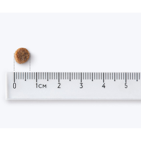 John Dog Premium Line Bezzbożowa Sucha Karma Dla Psów Małych Ras Indyk Z Wołowiną 12kg