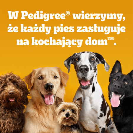 Pedigree Tasty Minis Chewy Cubes Z Kurczakiem 6x130g Przysmak dla psa