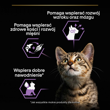 Purina Pro Plan Kitten Healthy Start 85g Mokra Karma Dla Kociąt Mus z Kurczakiem
