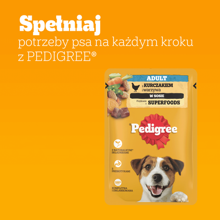 Pedigree Adult Saszetka 24x100g Mokra Karma Kawałki Bogate W Kurczaka W Sosie Dla Psa