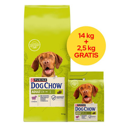 Purina Dog Chow Adult 14kg+2,5kg Gratis Sucha Karma Dla Psa z Jagnięciną