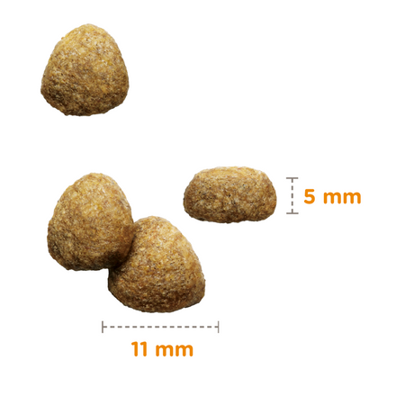 Sucha Karma Iams for Vitality Light in Fat Dla Dorosłych Kotów Sterylizowanych Ze Świeżym Kurczakiem 10kg