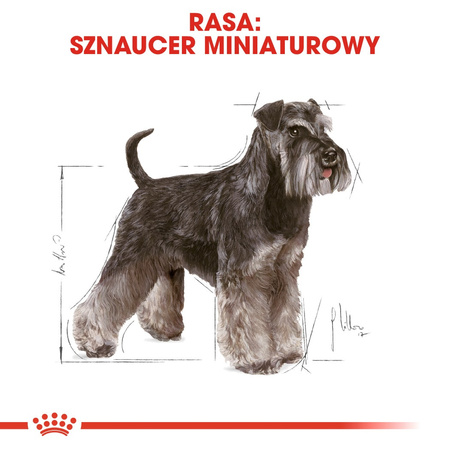 Royal Canin BHN Miniature Schnauzer Adult 7,5kg Karma Sucha Dla Psów Dorosłych Rasy Sznaucer Miniaturowy