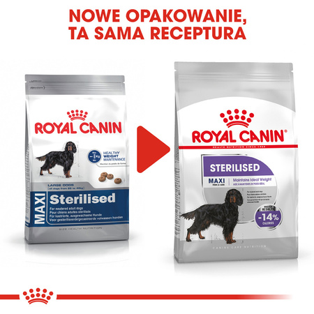Royal Canin CCN Maxi Sterilised 12kg Karma Sucha Dla Psów Dorosłych Ras Dużych Sterylizowanych