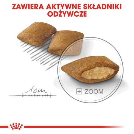 Royal Canin CCN Mini Exigent 3kg Karma Sucha Dla Psów Dorosłych Ras Małych Wybrednych
