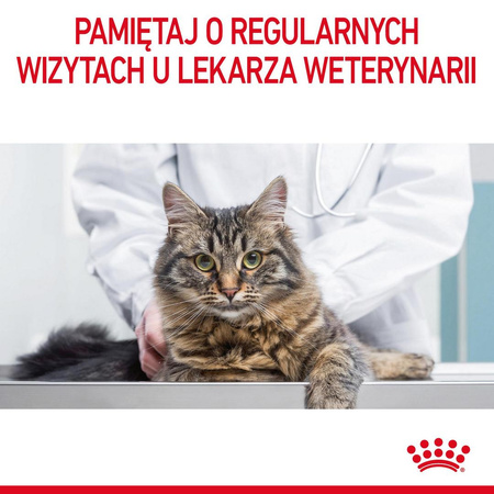 Royal Canin Digestive Care 4kg Karma Sucha Dla Kotów Dorosłych Wspomagająca Przebieg Trawienia