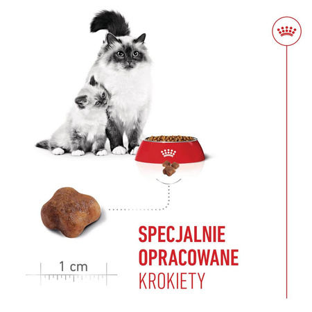 Royal Canin Mother&Babycat 4kg Karma Sucha Dla Kotek W Okresie Ciąży Laktacji i Kociąt Od 1 Do 4 Miesiąca Życia