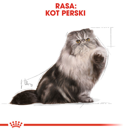 Royal Canin FBN Persian Adult 2kg Karma Sucha Dla Kotów Dorosłych Rasy Pers