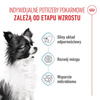 Royal Canin SHN X-Small Puppy 1,5kg Sucha Karma Dla Szczeniąt Ras Miniaturowych Od 2 Do 10 Miesiąca Życia