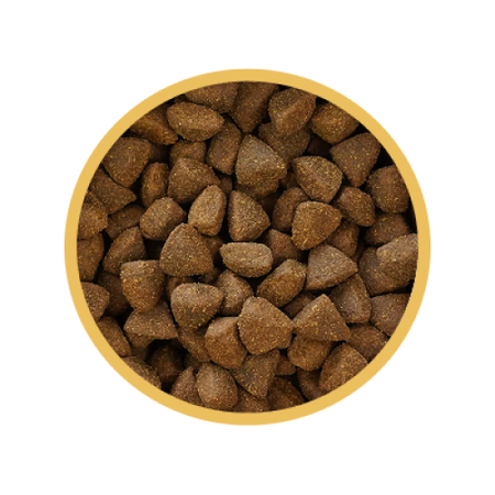 Biofeed Euphoria Fresh Turkey 500g Monoproteinowa Sucha Karma Dla Szczeniąt Ras Miniaturowych I Małych Ze Świeżym Indykiem