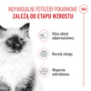 Royal Canin FHN Kitten 2kg Karma Sucha Dla Kociąt Od 4 Do 12 Miesiąca Życia