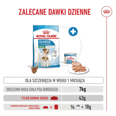 Royal Canin Mini Starter Mother & Babydog 8kg Karma Sucha Dla Suk W Ciąży I Okresie Laktacji Oraz Szczeniąt Ras Małych