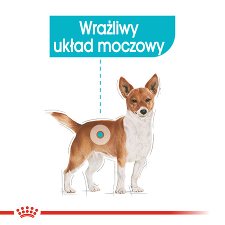 Royal Canin CCN Urinary Care 12x85g Karma Mokra Pasztet Dla Psów Ochrona Dolnych Dróg Moczowych