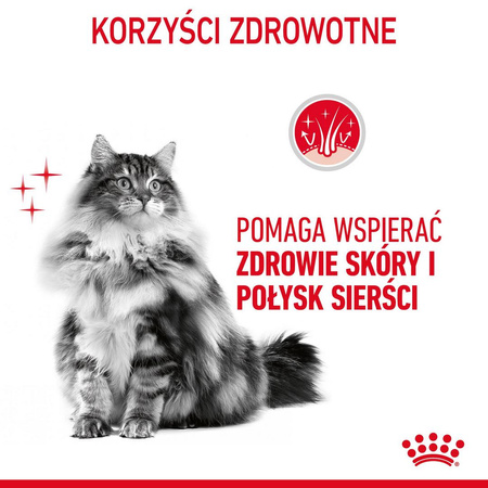 Royal Canin Hair&Skin Care 10kg Karma Sucha Dla Kotów Dorosłych Lśniąca Sierść i Zdrowa Skóra
