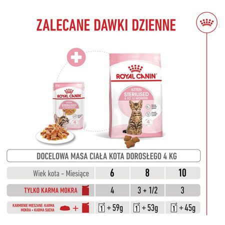 Royal Canin FHN Kitten Sterilised W Galaretce 12x85g Karma Mokra Dla Kociąt Sterylizowanych Do 12 Miesiąca Życia