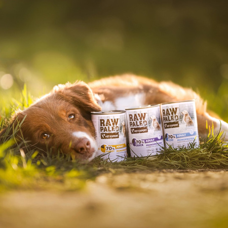 Vet Expert Raw Paleo Adult Monoprotein 800g Mokra Karma Dla Psa z Indykiem