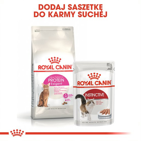 Royal Canin Exigent Protein Preference 10kg Karma Sucha Dla Kotów Dorosłych Wybrednych Kierujących Się Zawartością Białka