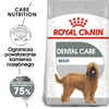 Royal Canin CCN Maxi Dental Care 9kg Karma Sucha Dla Psów Dorosłych Ras Dużych Redukująca Powstawanie Kamienia Nazębnego