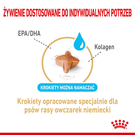 Royal Canin BHN German Shepherd Adult 5+ 12kg Karma Sucha Dla Dorosłych Psów Rasy Owczarek Niemiecki Powyżej 5 Roku Życia