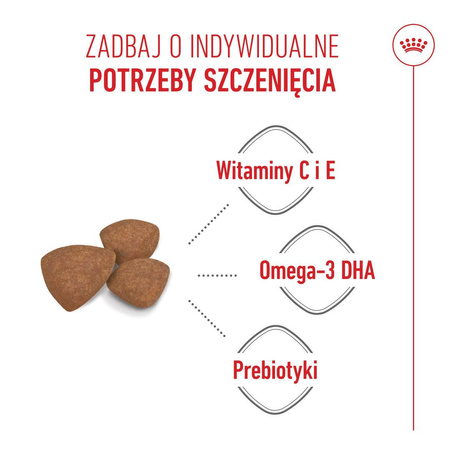 Royal Canin Mini Puppy 2kg Karma Sucha Dla Szczeniąt Od 2 Do 10 Miesiąca Życia, Ras Małych