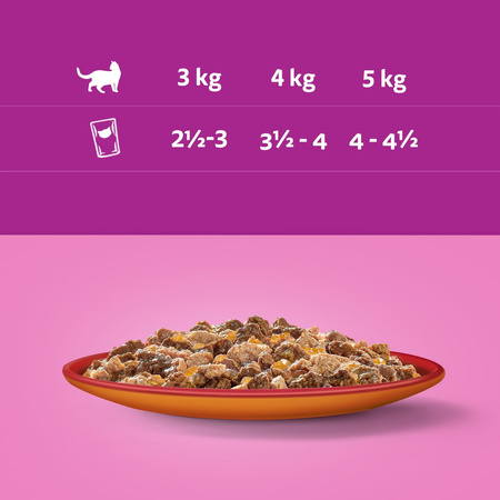 Whiskas Adult 13x340g Zestawy Klasyczne Mokra Karma Dla Dorosłych Kotów 2 Smaki W Galaretce