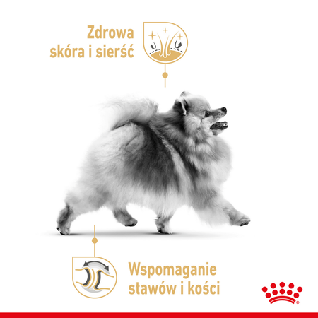 Royal Canin Pomeranian Adult 12x85g Karma Mokra, Pasztet Dla Psów Dorosłych Rasy Szpic Miniaturowy