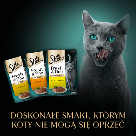Sheba Fresh&Fine Megapack Saszetki 50x50g Mokra Karma Dla Kotów W Sosie Kurczak Drób Indyk