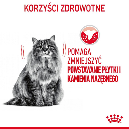 Royal Canin Dental 3,5kg Karma Sucha Dla Kotów Dorosłych Redukująca Odkładanie Kamienia Nazębnego
