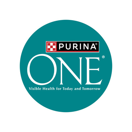 Purina One Senior 7+ Sucha Karma Dla Kota Bogata W Kurczaka I Pełne Ziarna 800g