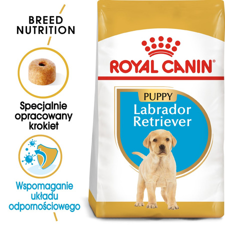 Royal Canin BHN Labrador Retriever Puppy 3kg Karma Sucha Dla Szczeniąt Do 15 Miesiąca Rasy Labrador Retriever