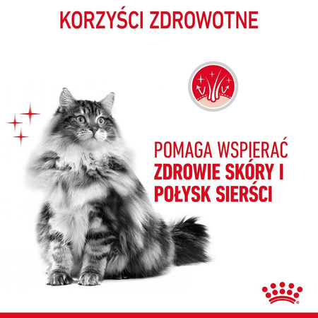 Royal Canin Intense Beauty 12x85g Mokra Karma Dla Kotów Dorosłych w Sosie Zdrowa Skóra Piękna Sierść