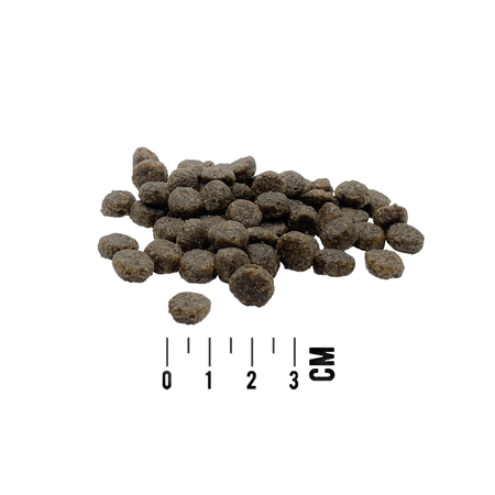 MAC's Dog Mini Sucha Karma Monoproteinowa Z Jagnięciną 3kg Dla Psów Małych Ras Skłonnych Do Alergii