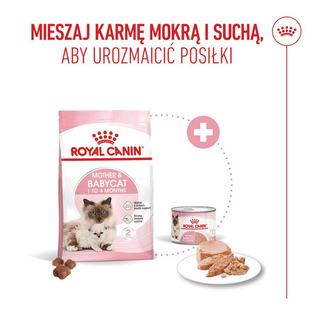 Royal Canin Mother&Babycat 4kg Karma Sucha Dla Kotek W Okresie Ciąży Laktacji i Kociąt Od 1 Do 4 Miesiąca Życia