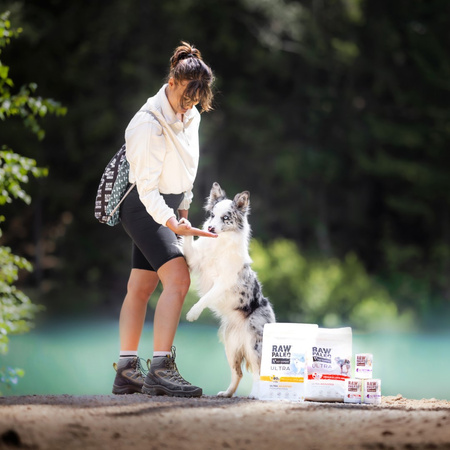 Vet Expert Raw Paleo Adult Monoprotein 800g Mokra Karma Dla Psa z Wołowiną