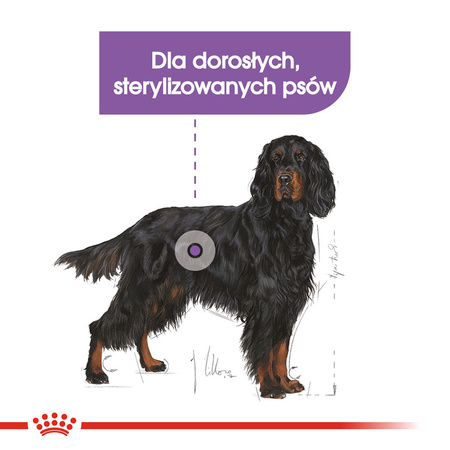 Royal Canin CCN Maxi Sterilised 12kg Karma Sucha Dla Psów Dorosłych Ras Dużych Sterylizowanych