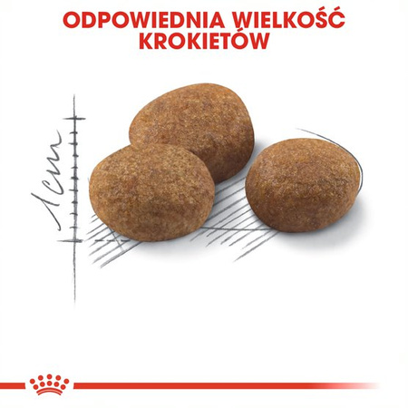 Royal Canin Sterilised +7 Karma Sucha Dla Kotów Dorosłych Sterylizowanych 3,5kg Od 7 Do 12 Roku Życia