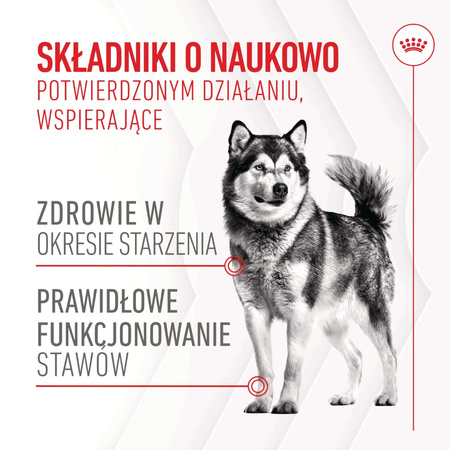 Royal Canin Supplements Dog Joint & Ageing 240g Suplementy Dla Psów Dorosłych W Postaci Przysmaków Wspierające Prawidłowe Funkcjonowanie Stawów