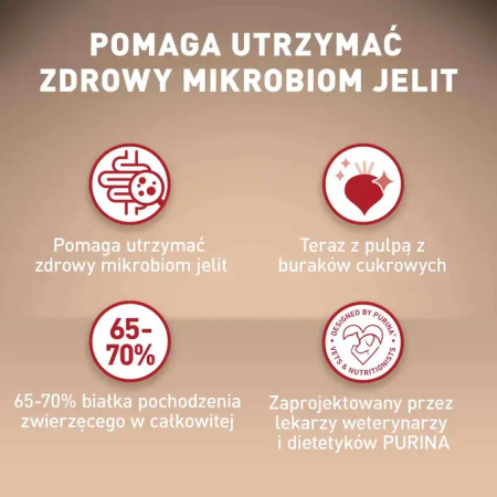 Purina ONE Mini Sensitive z Łososiem i Ryżem 1,5kg Sucha Karma Dla Psów Małych Ras
