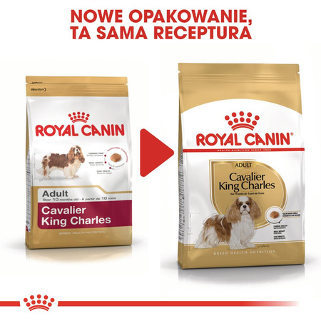 Royal Canin BHN Cavalier King Charles Spaniel Adult 1,5kg Karma Sucha Dla Psów Dorosłych Rasy Cavalier King Charles Spaniel