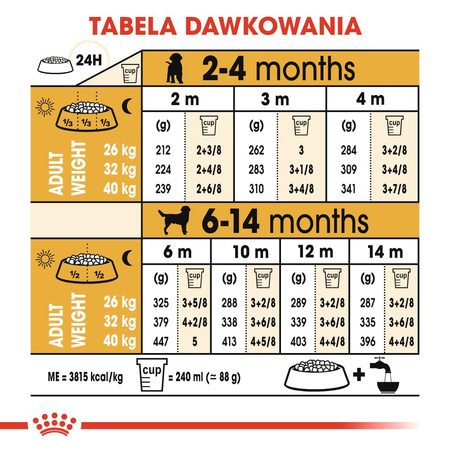 Royal Canin BHN Labrador Retriever Puppy 12kg Karma Sucha Dla Szczeniąt Do 15 Miesiąca Rasy Labrador Retriever