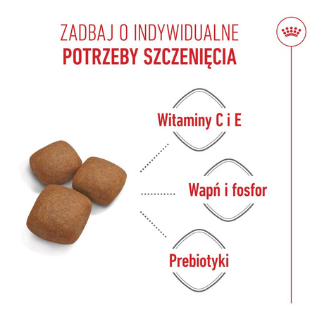 Royal Canin SHN Giant Junior 15kg Karma Sucha Dla Szczeniąt Od 8 Do 18/24 Miesiąca Życia Ras Olbrzymich